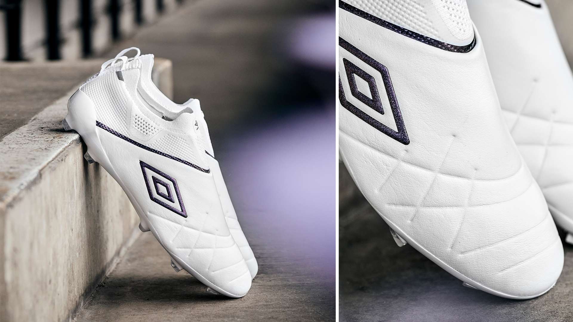 本届赛事中 本届赛事中