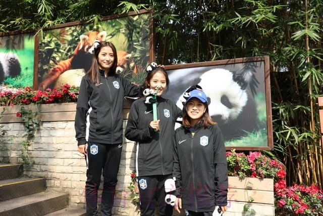 走进熊猫基地,女乙联赛休息日活动不断 走进熊猫基地,女乙联赛休息日活动不断